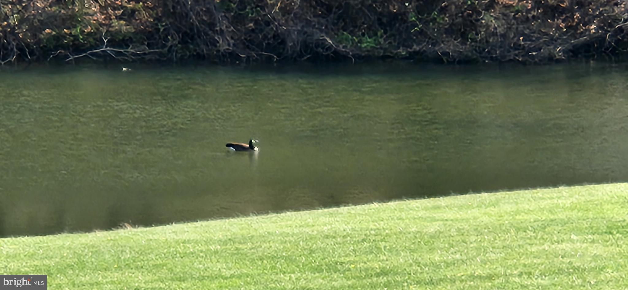 BENTONVILLE - Residential