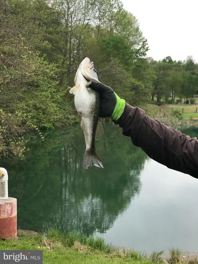 BENTONVILLE - Residential