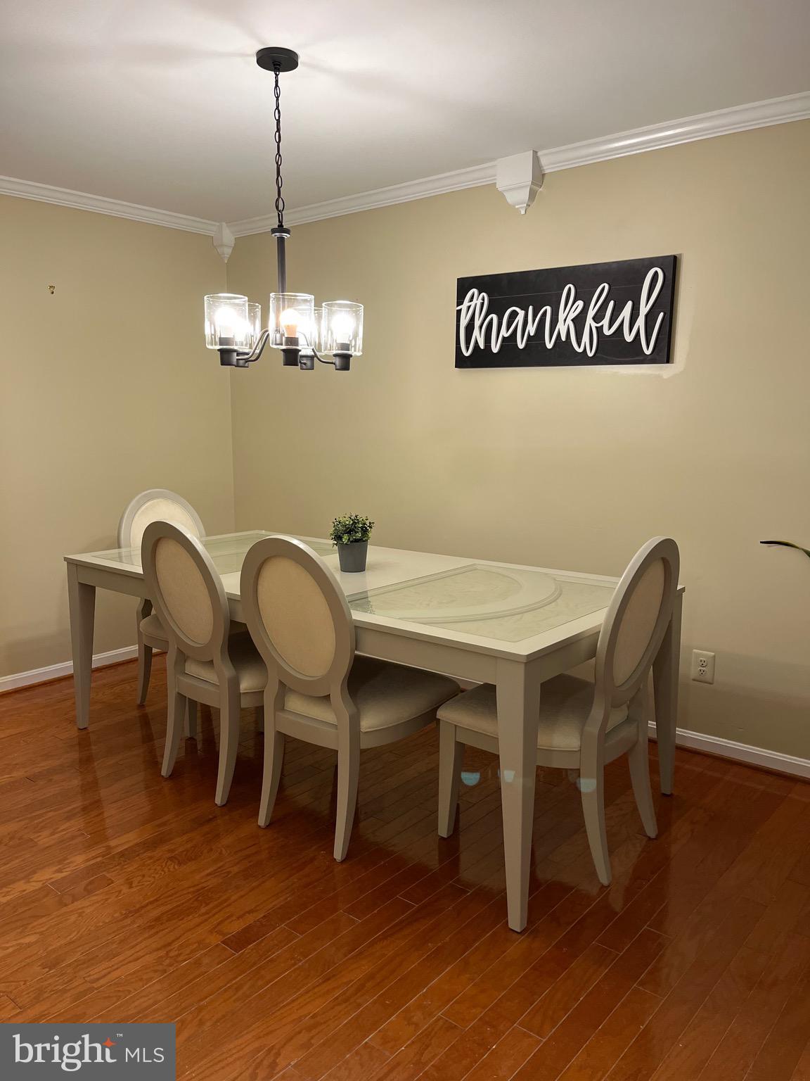 VILLAGE OF THOMAS RUN - Residential