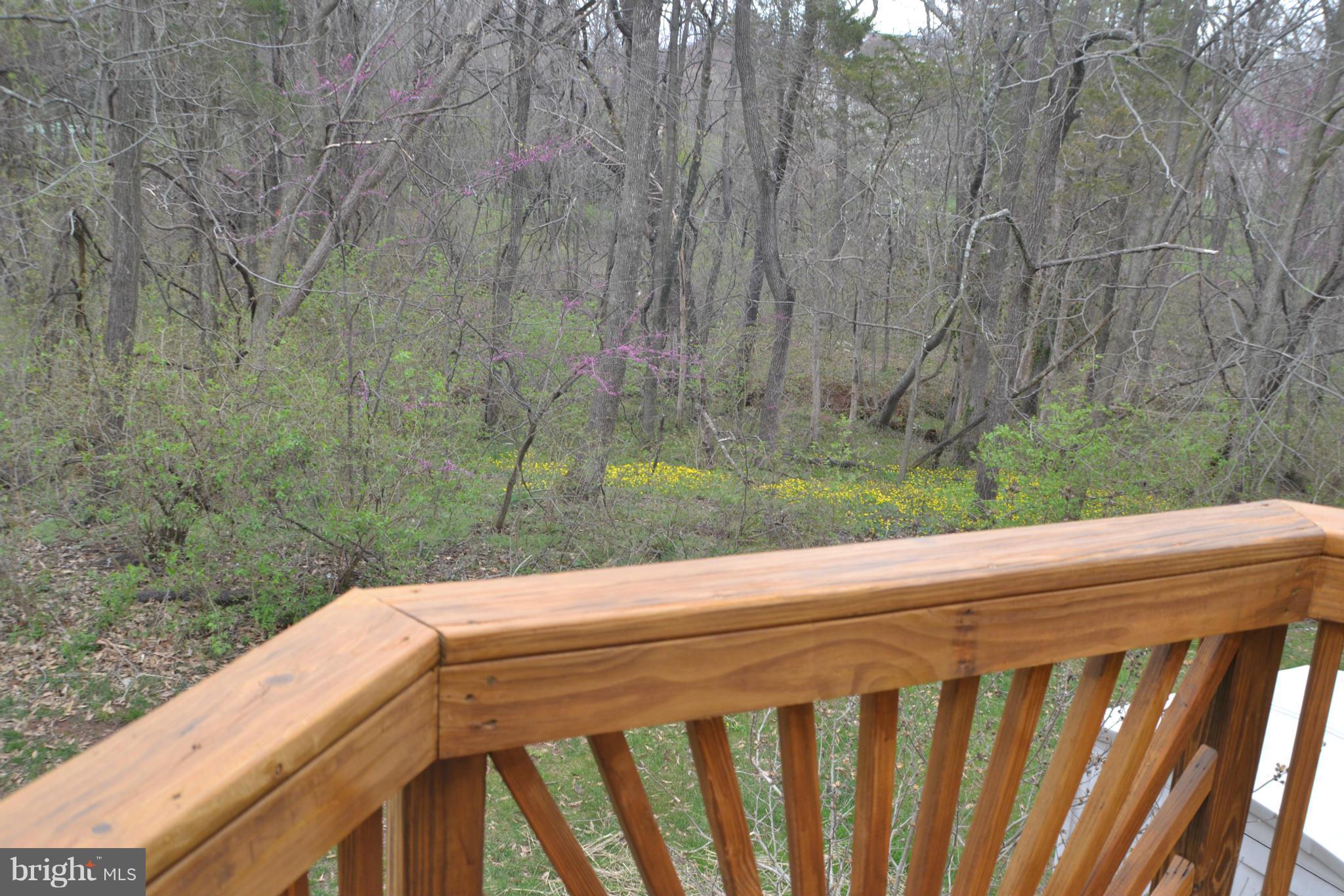 ASHBURN FARM - Residential