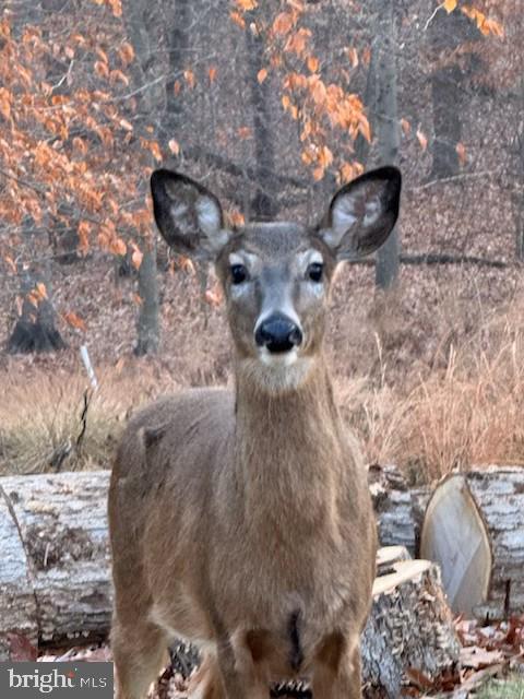 LAKE JACKSON - Residential