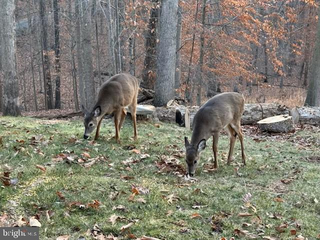 LAKE JACKSON - Residential