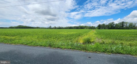Vacant Land For Sale - Bullbegger Road<br/> WITHAMS, VA 23488