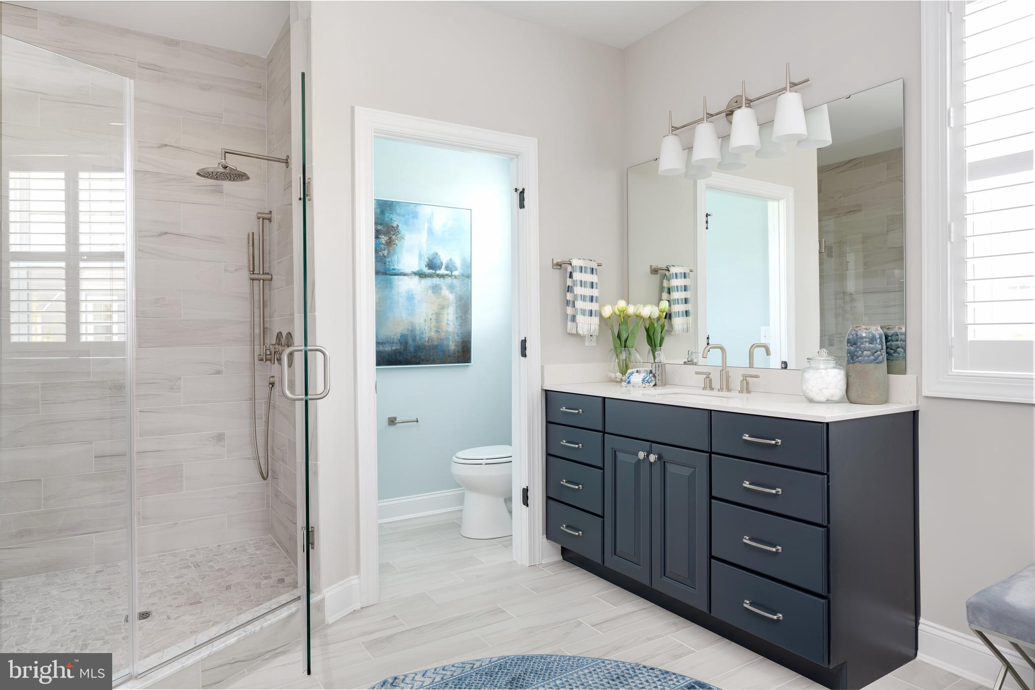 SERENITY AT CUBBAGE POND - Residential