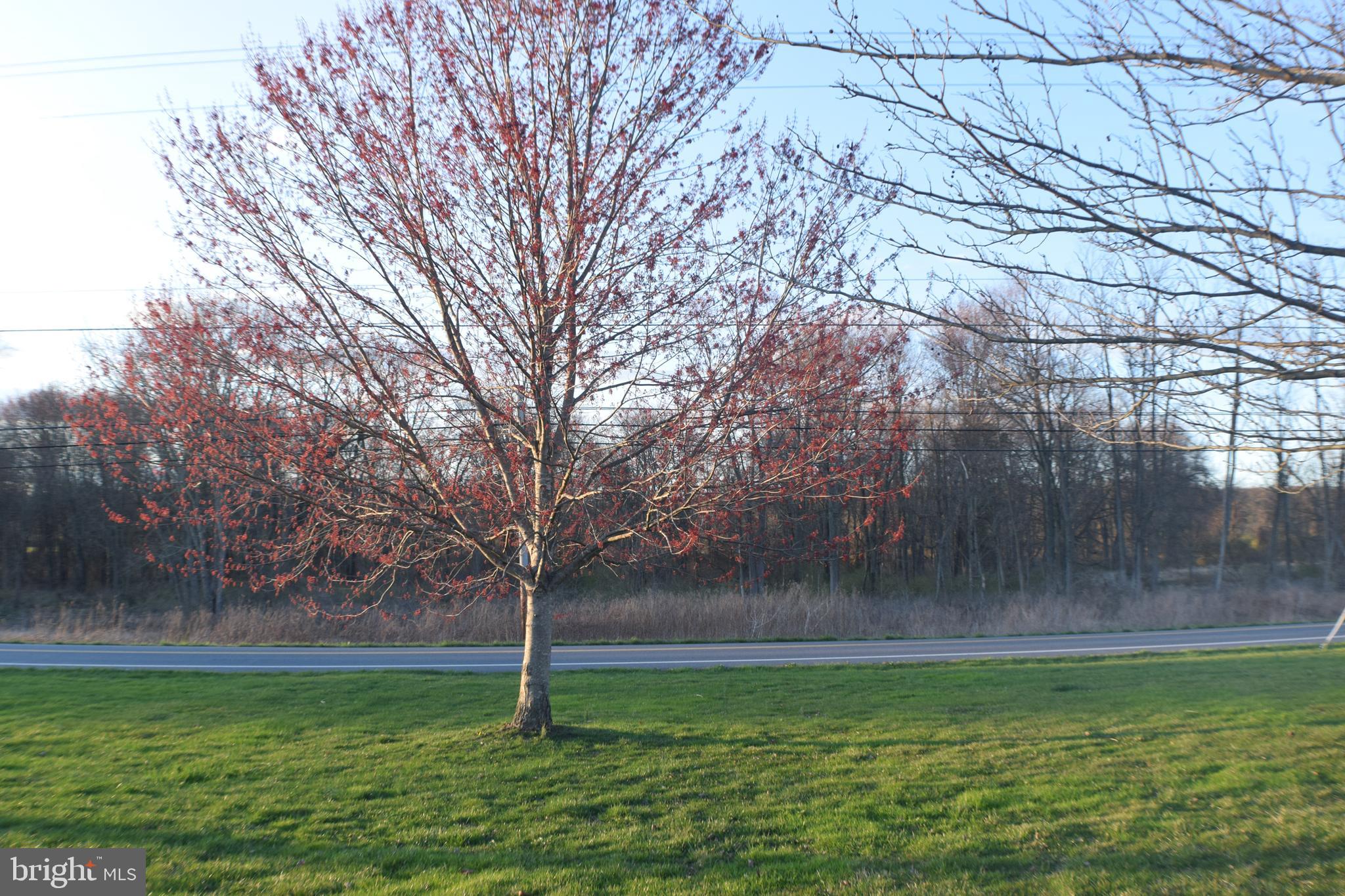 FALCON RIDGE - Residential