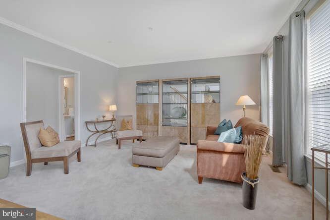 GLENN DALE GREENS - Residential