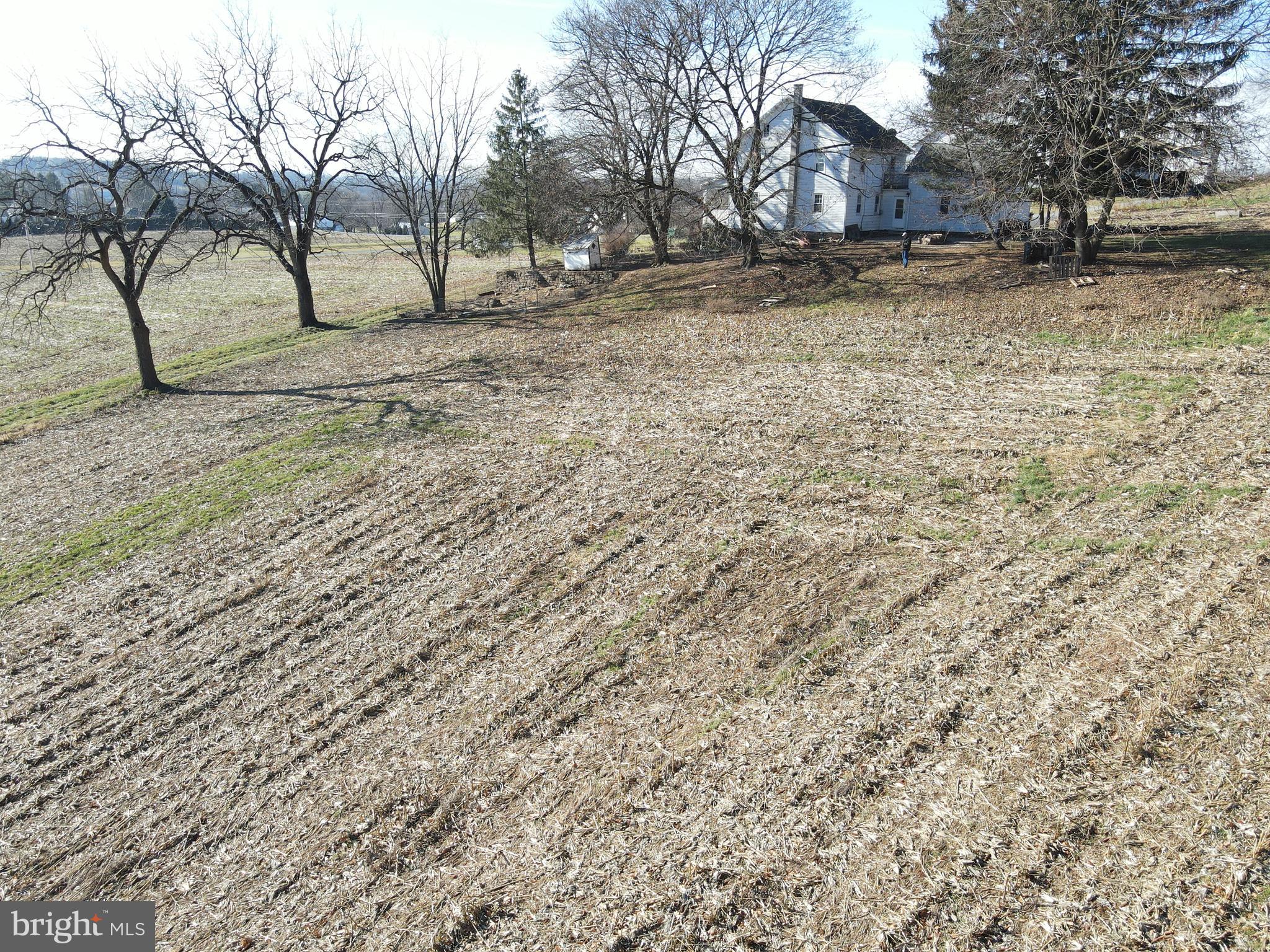 NONE AVAILABLE - Farm