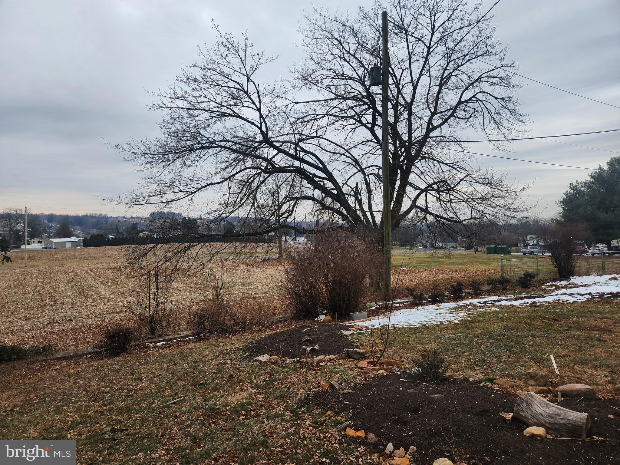 NONE AVAILABLE - Farm