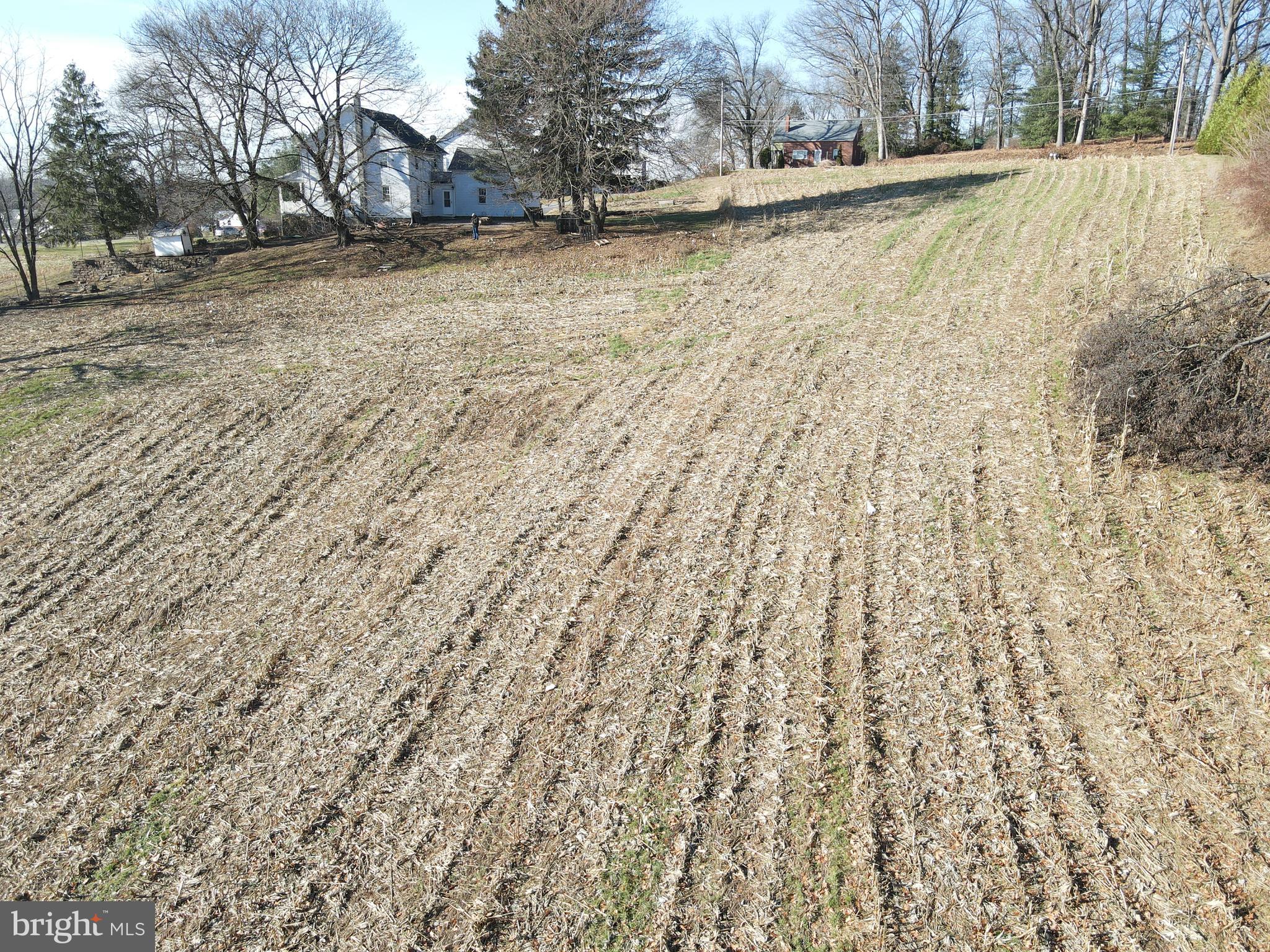 NONE AVAILABLE - Farm