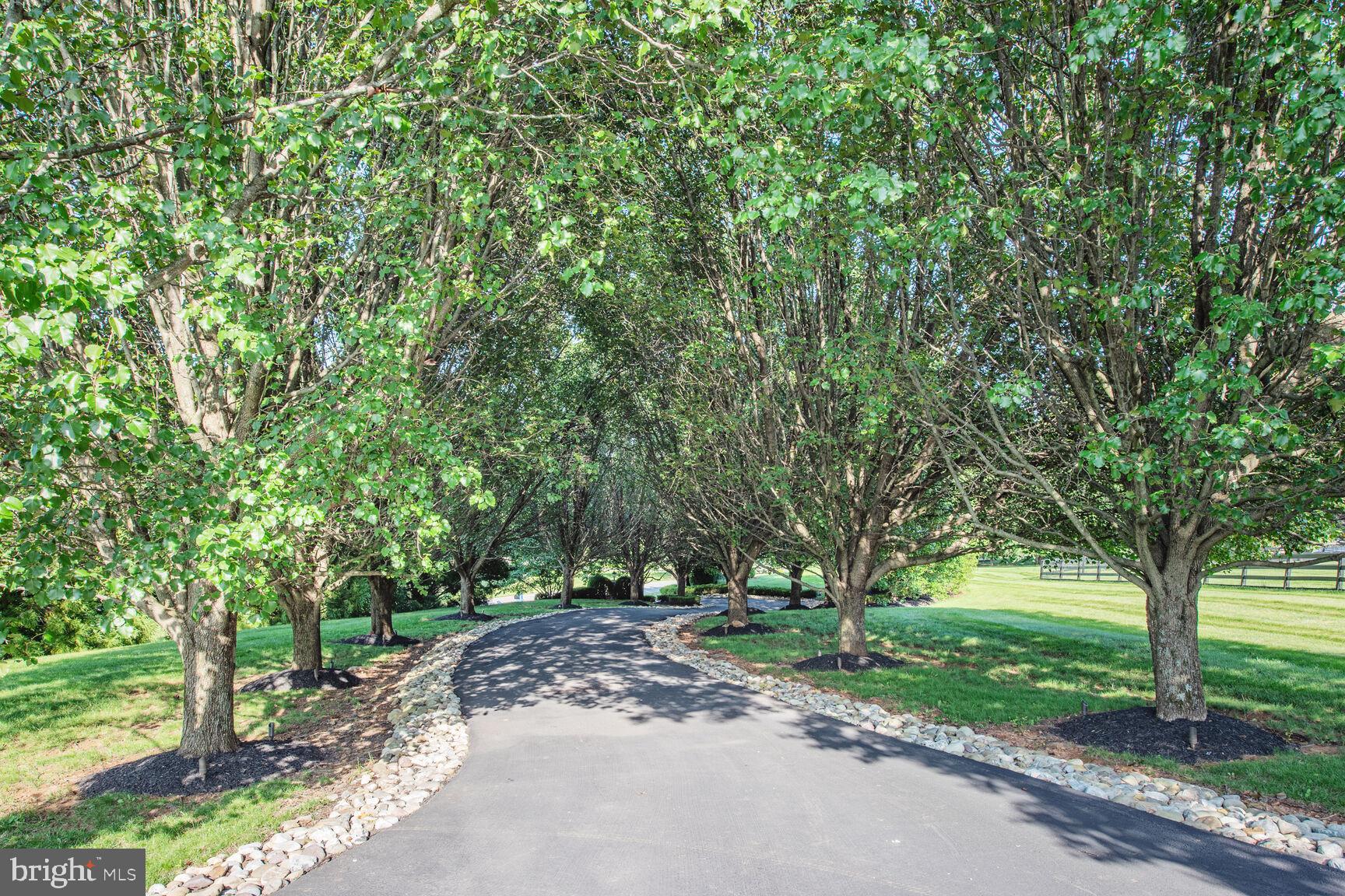 BEACON HILL - Residential