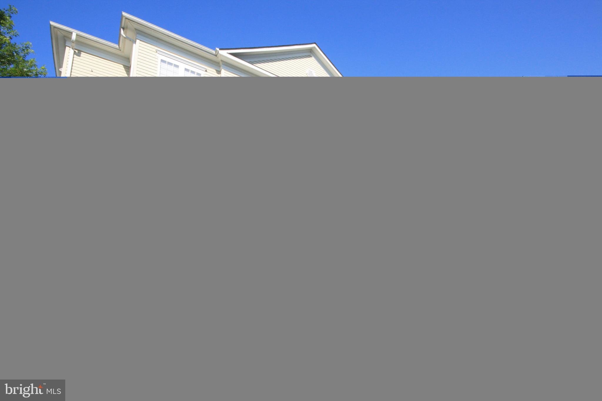 22691 BLUE ELDER TERRACE 204