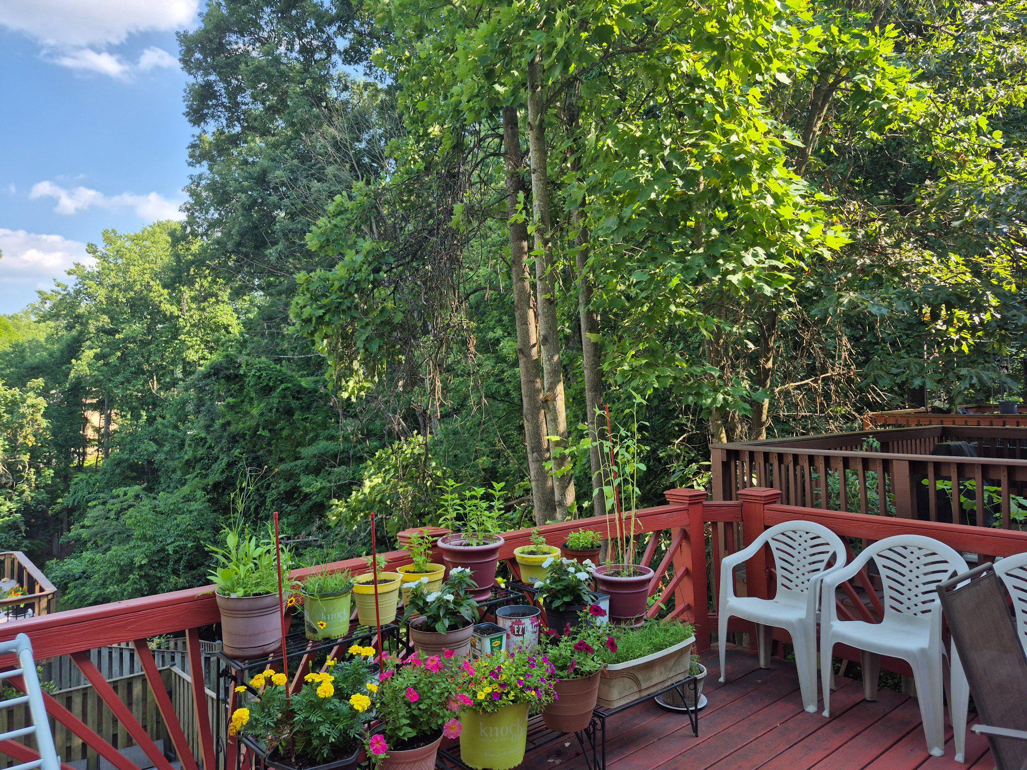 13806 CARTER HOUSE WAY 16-145