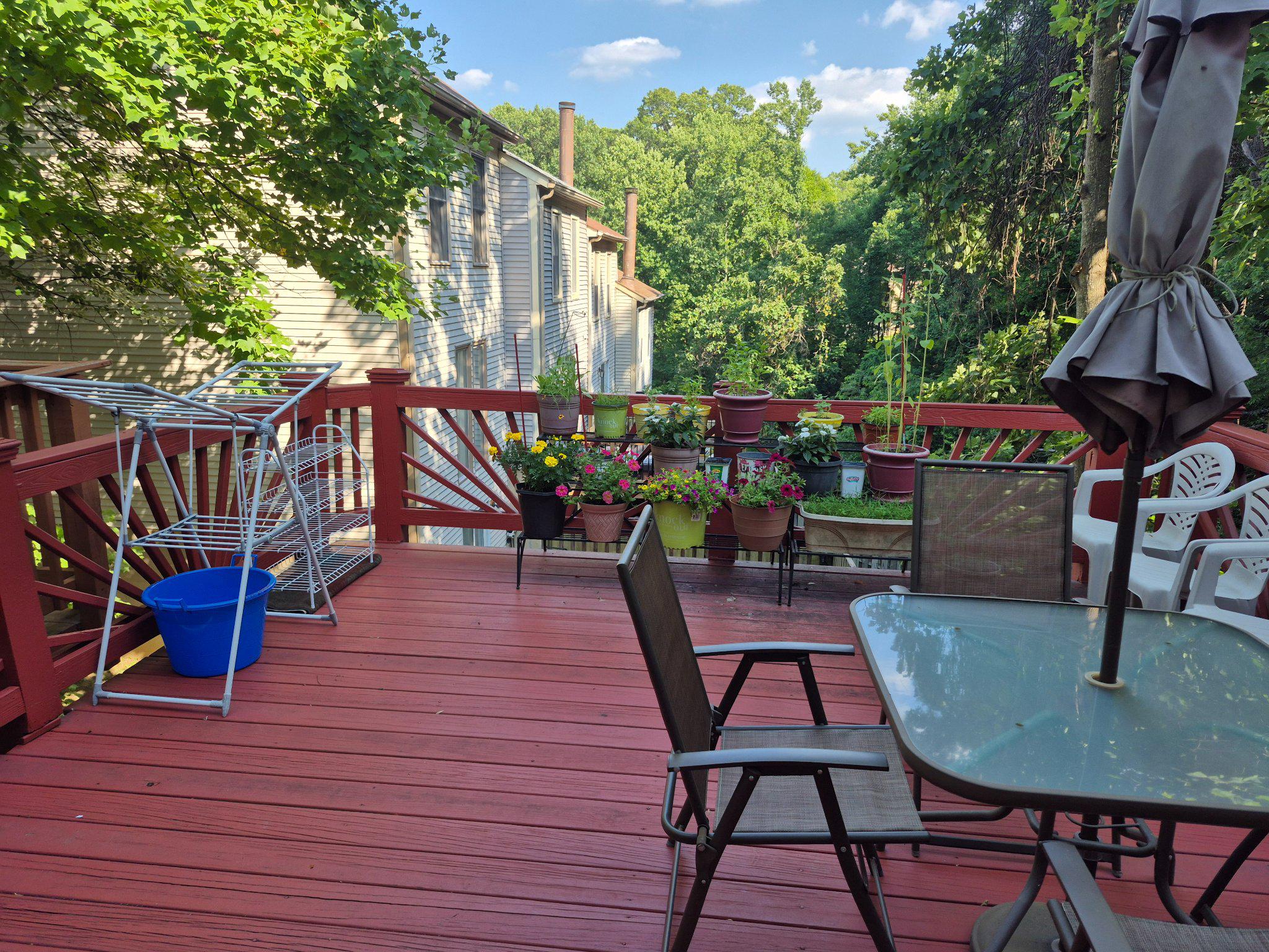 13806 CARTER HOUSE WAY 16-145