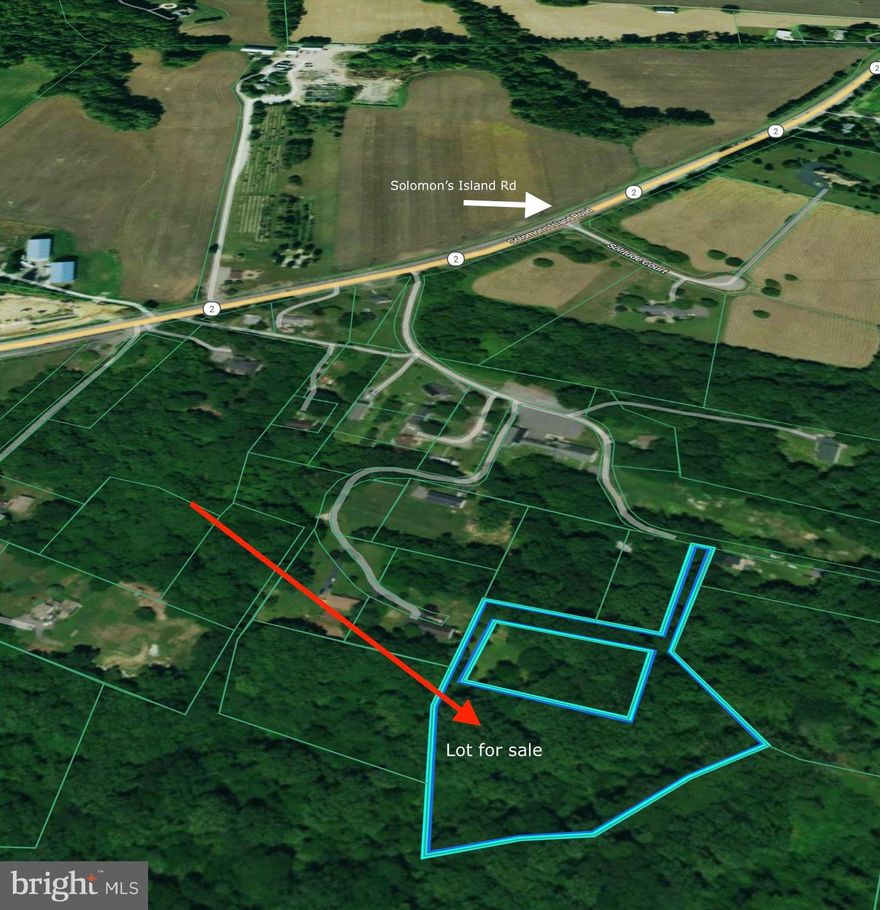 Roughly over 3  acres of undeveloped land. 1 acre was sold previously as seen in photos. Public records does not reflect the 1 acre previously sold. Bringing the lot size to a little over 3 acres.  No well or septic on the property. No perc test has been done and no surveys on file. Buyer will need to do their due diligence in regards to township approvals for building options. 

The property is zoned both RA - Rural Agriculture (lighter green) and OS - Open Space (darker green).  The portion zoned RA allows for residential development. The open space portion does not allow residential development. A narrow portion of the property provides access from the north (Ark Road). Below is a rough estimate of the acreage within each zoning district. 

AREA ESTIMATION
RA: 125,375 sq ft (1.88 AC)
OS: 65,400 sq ft (1.5 AC)
