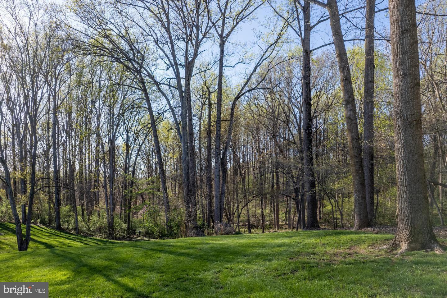 VILLAGE OF HICKORY RIDGE - Residential