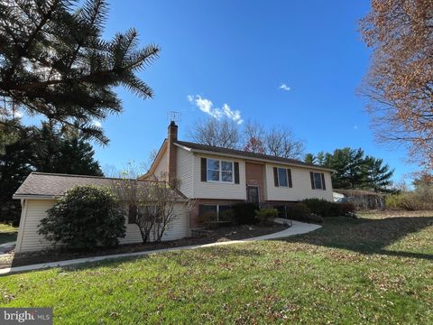 4469 BALTIMORE NATIONAL PIKE MOUNT AIRY MD 21771