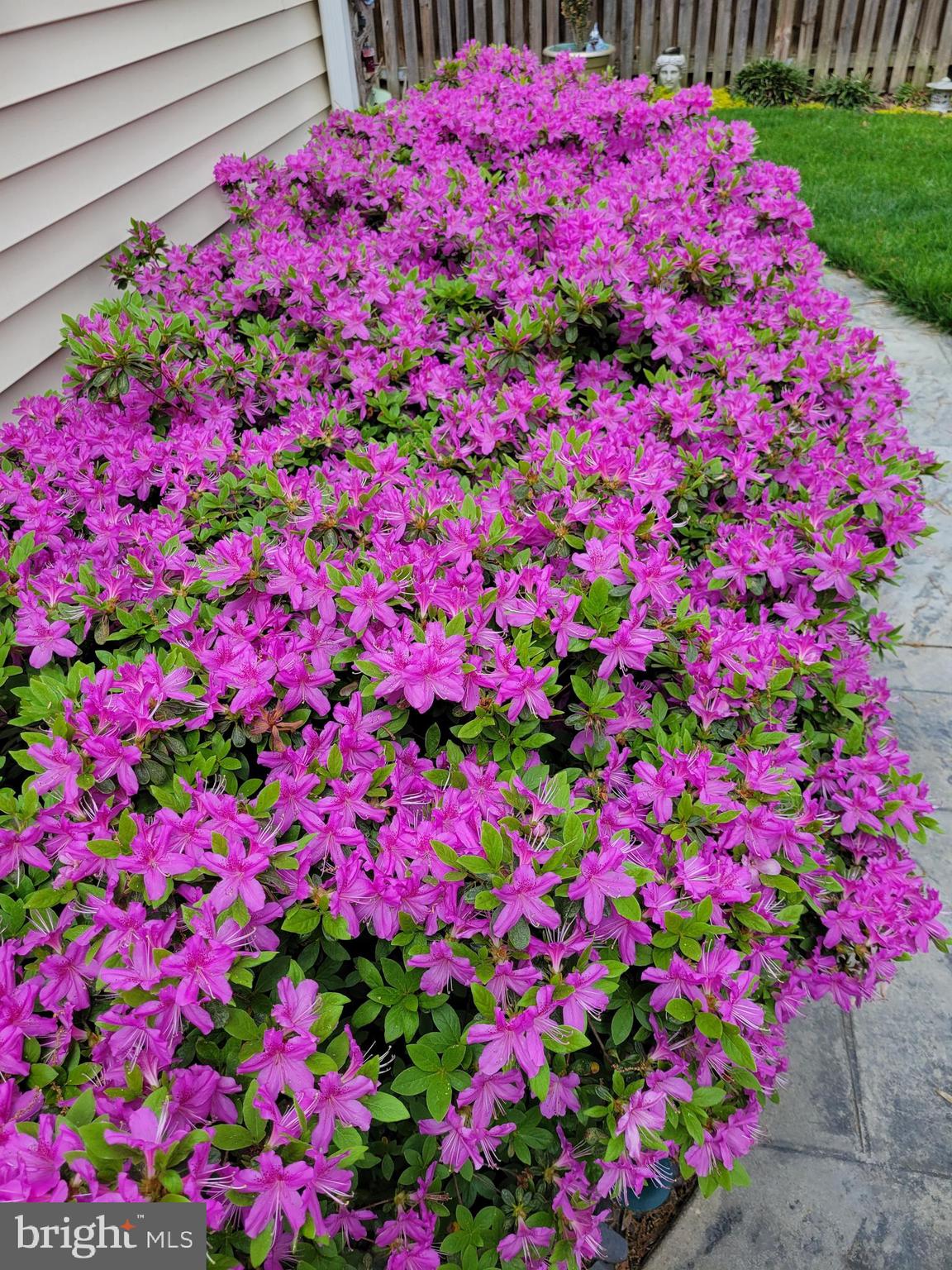 WHITE OAK VILLAGE SUB - Residential