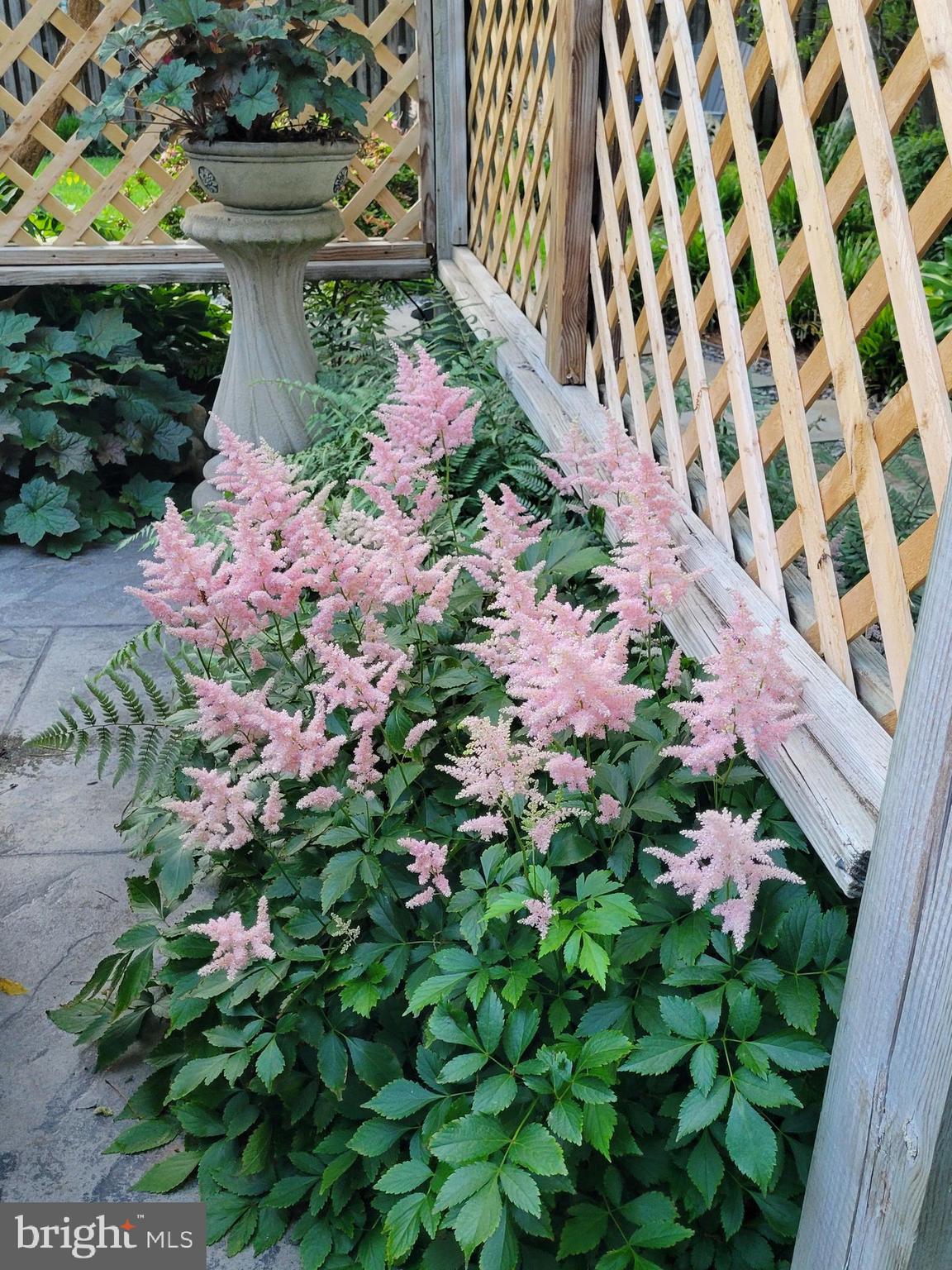 WHITE OAK VILLAGE SUB - Residential