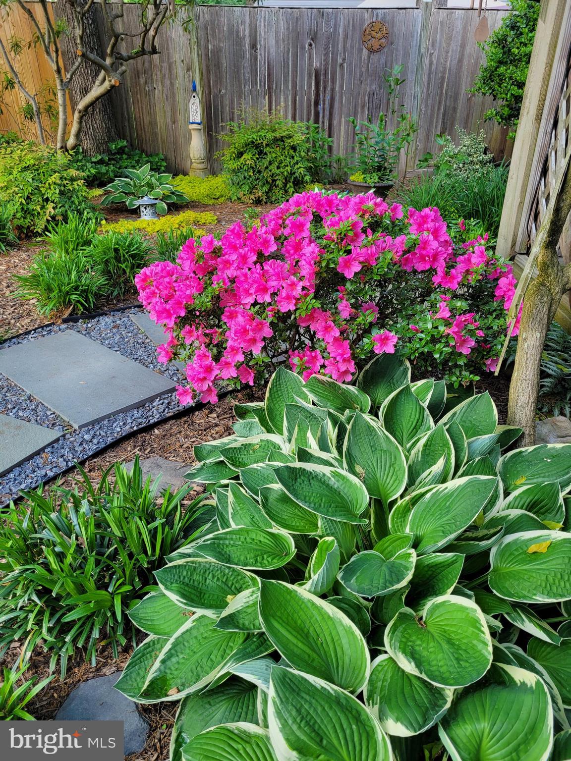 WHITE OAK VILLAGE SUB - Residential