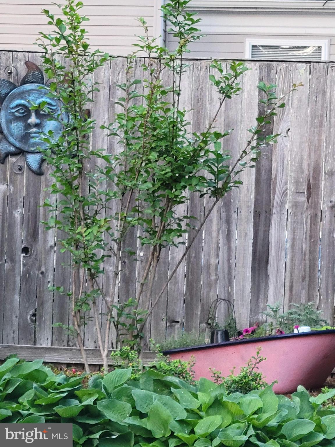 WHITE OAK VILLAGE SUB - Residential