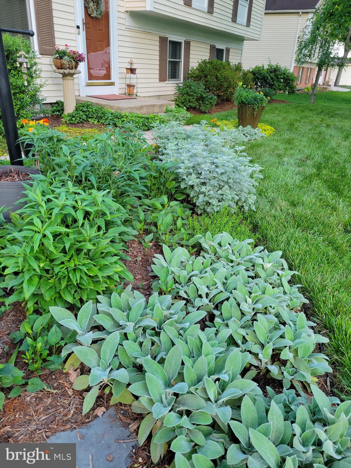 WHITE OAK VILLAGE SUB - Residential