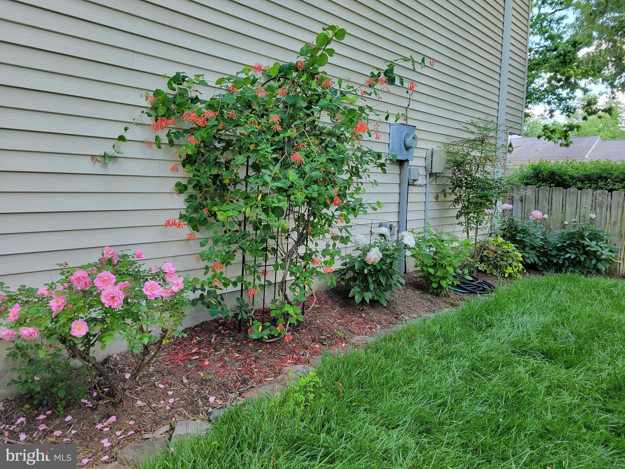 WHITE OAK VILLAGE SUB - Residential