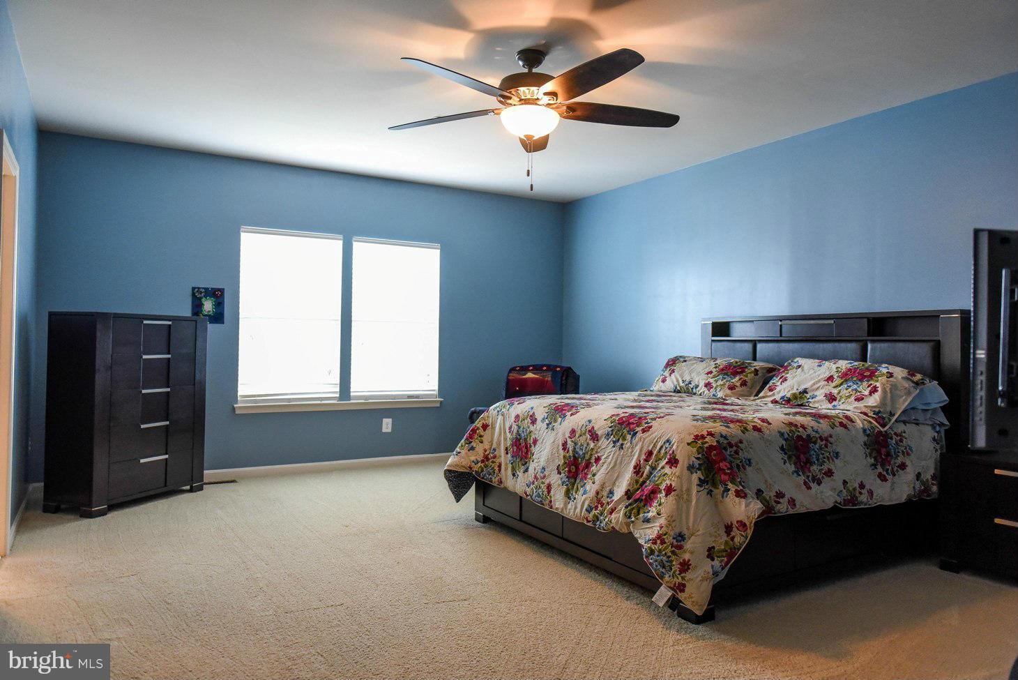 PRIMROSE PARK AT WILDEWOOD - Residential