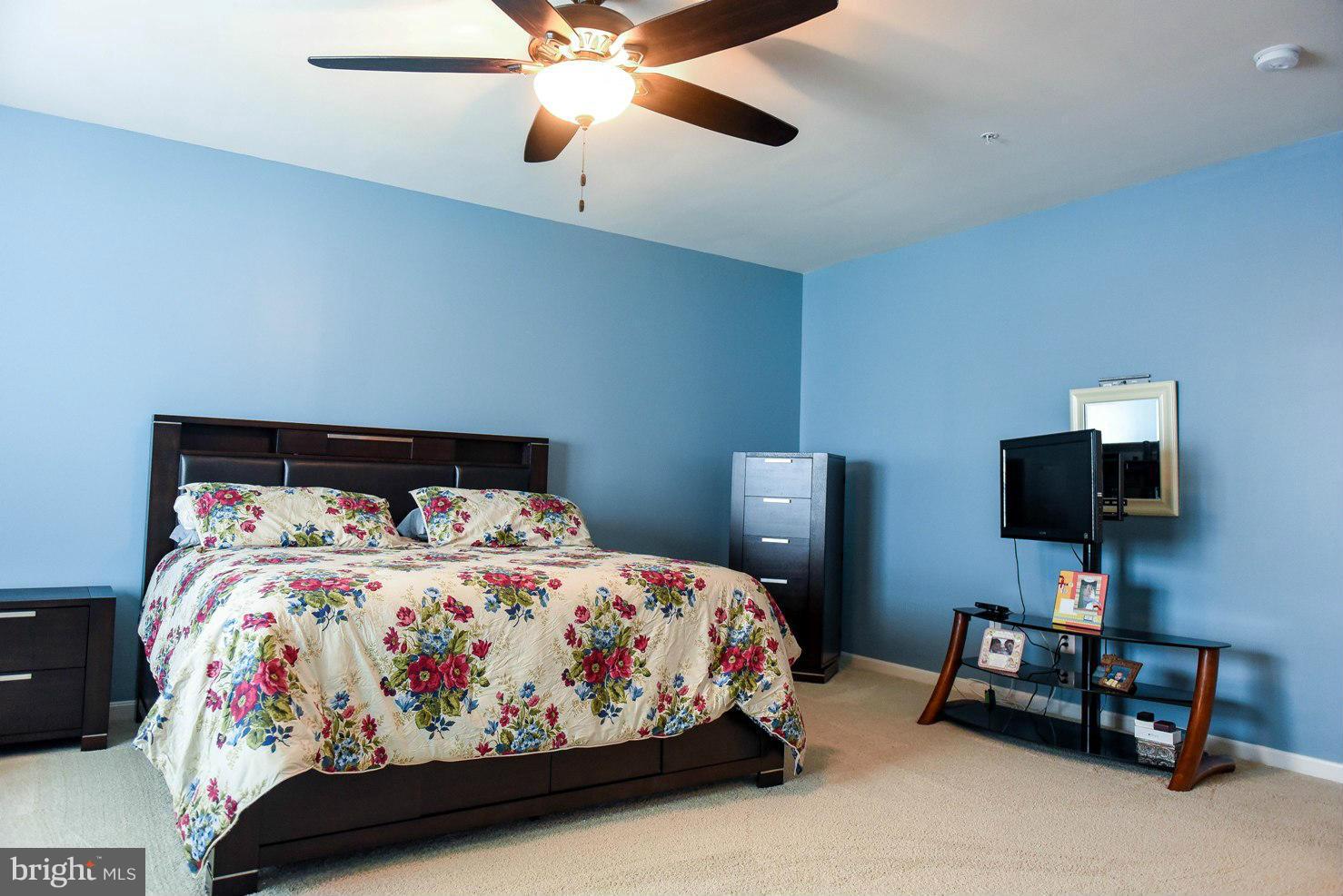 PRIMROSE PARK AT WILDEWOOD - Residential