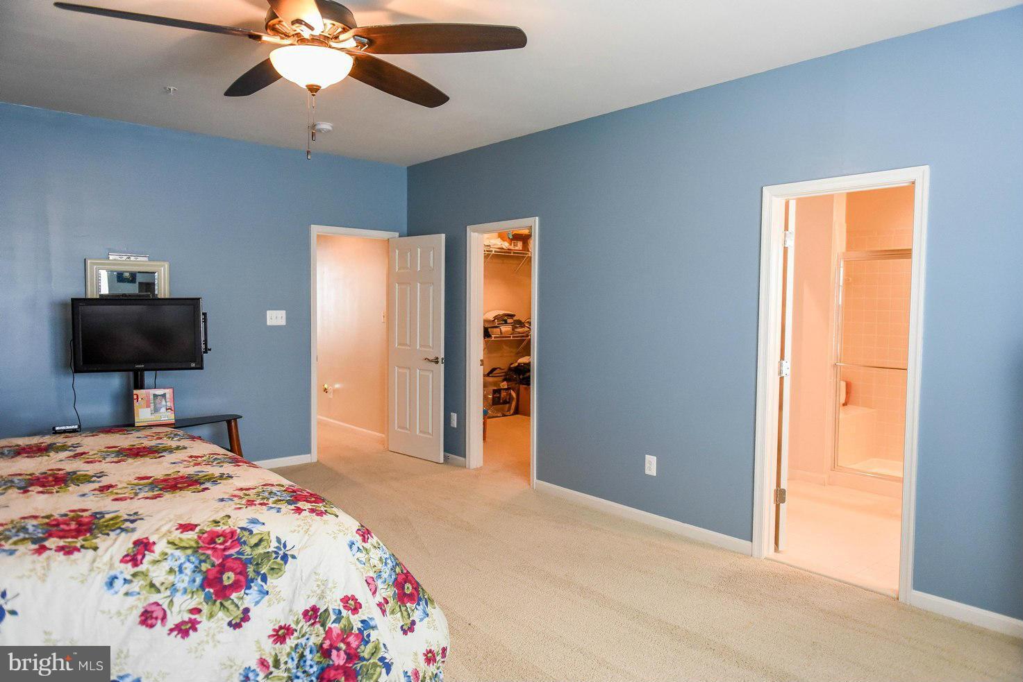 PRIMROSE PARK AT WILDEWOOD - Residential