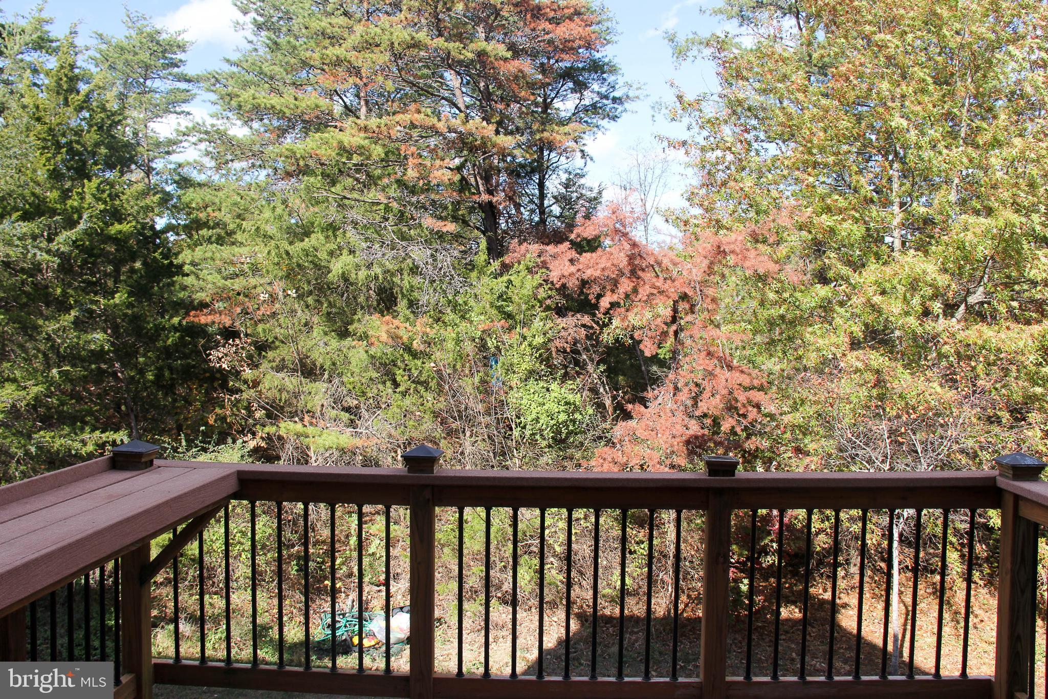 AMBERLEIGH - Residential Lease