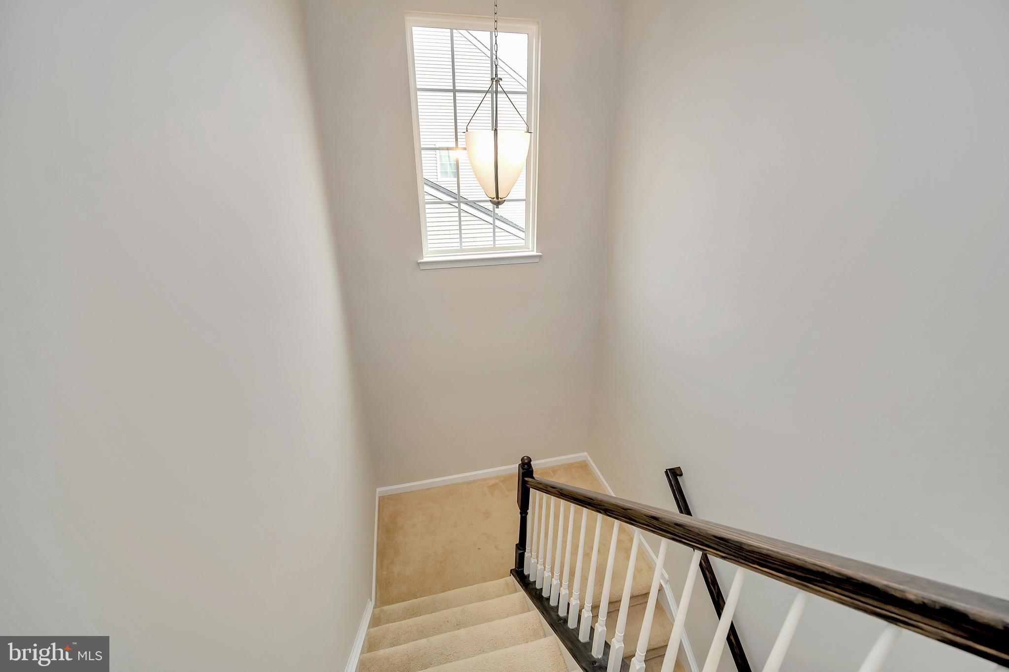 THE VILLAGE AT COURTHOUSE COMMONS - Residential