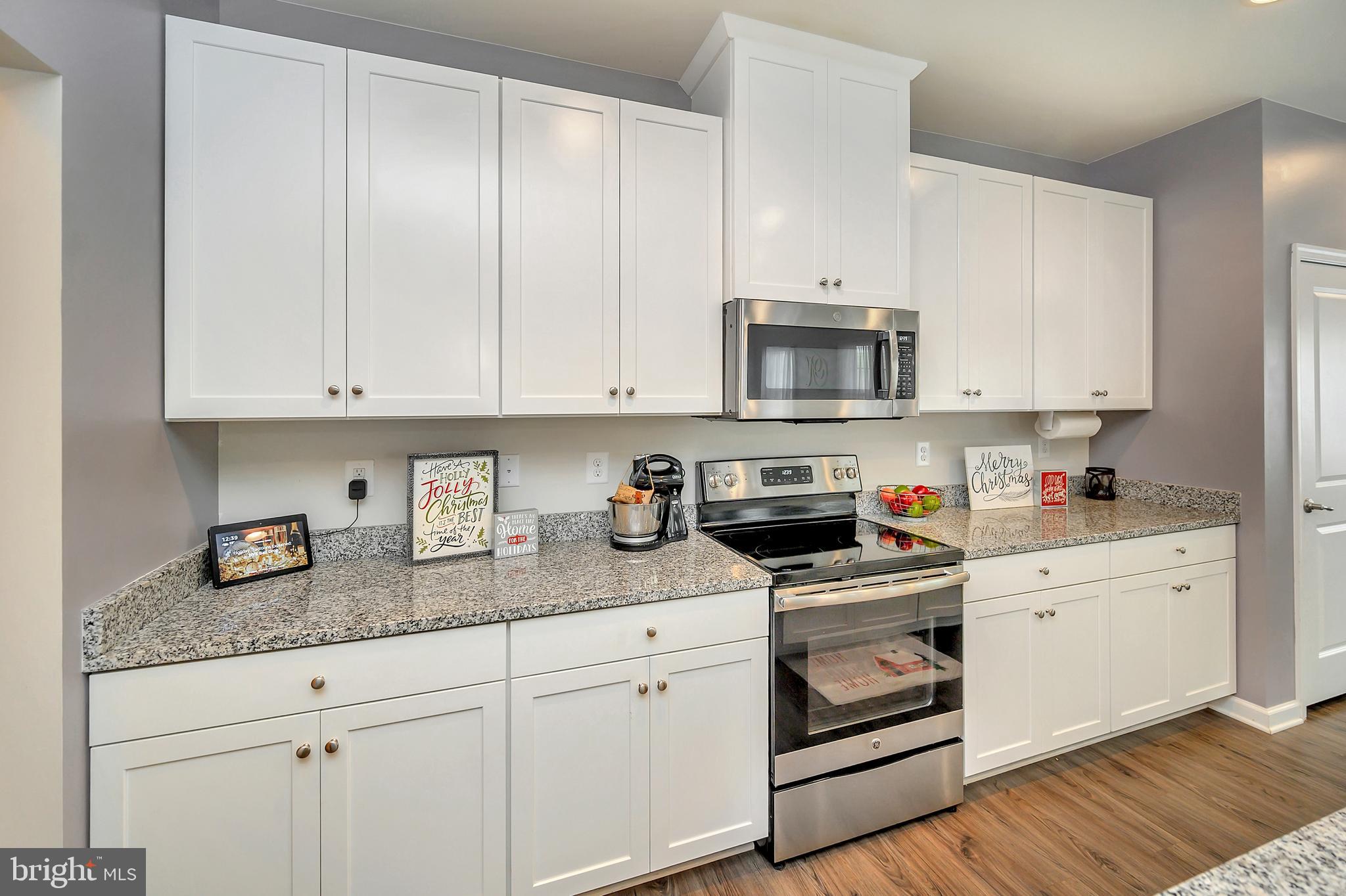 THE VILLAGE AT COURTHOUSE COMMONS - Residential