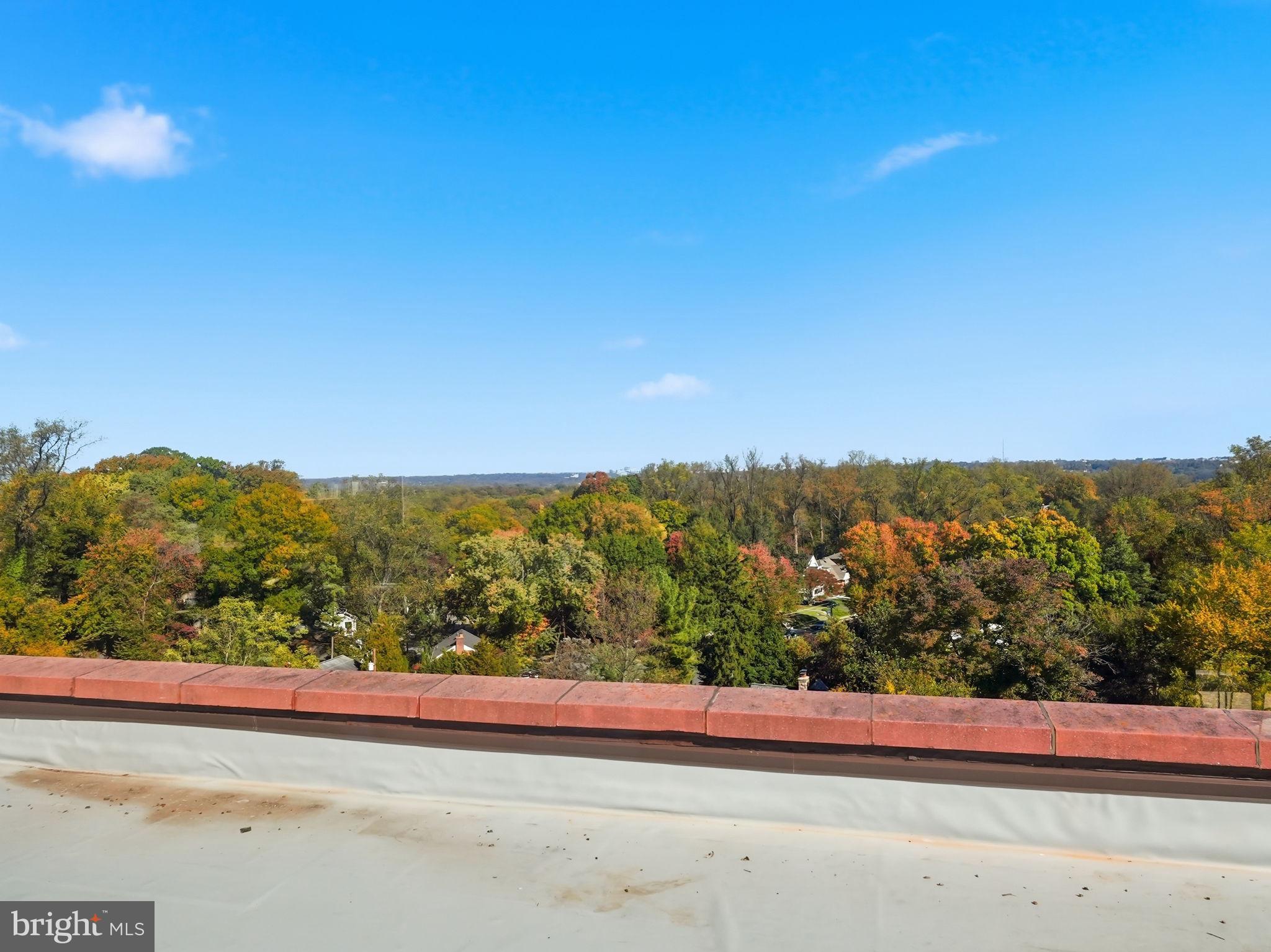 CARLYN PLACE - Residential Lease