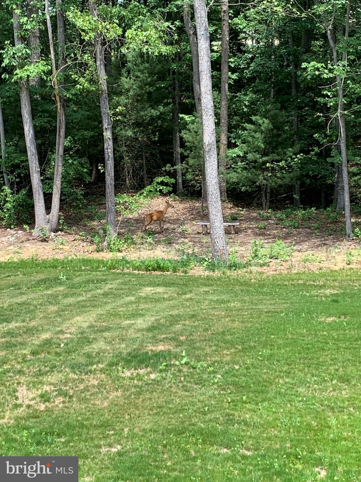 HARPER VALLEY - Residential