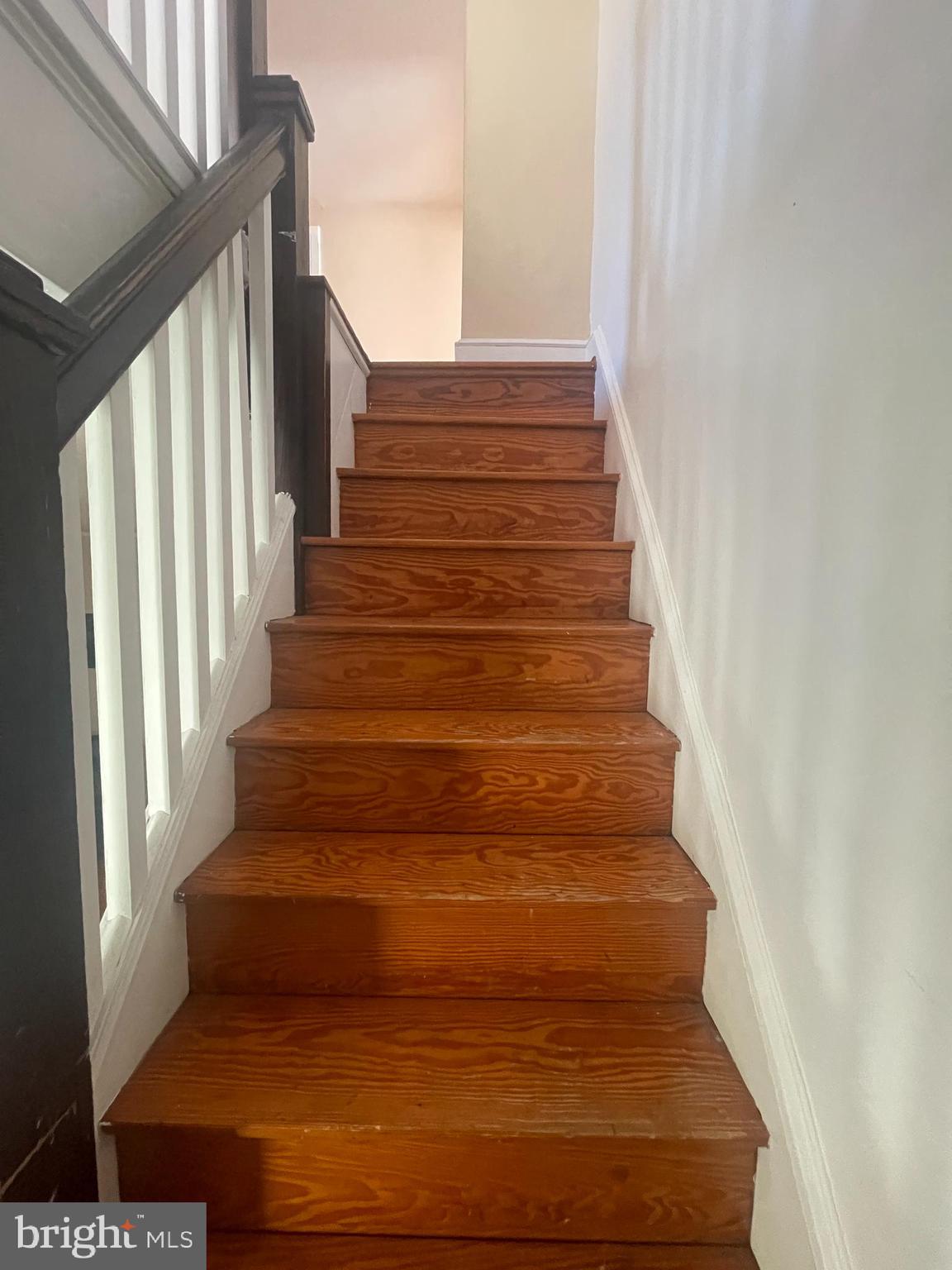 WEBSTERS CHOICE - Residential