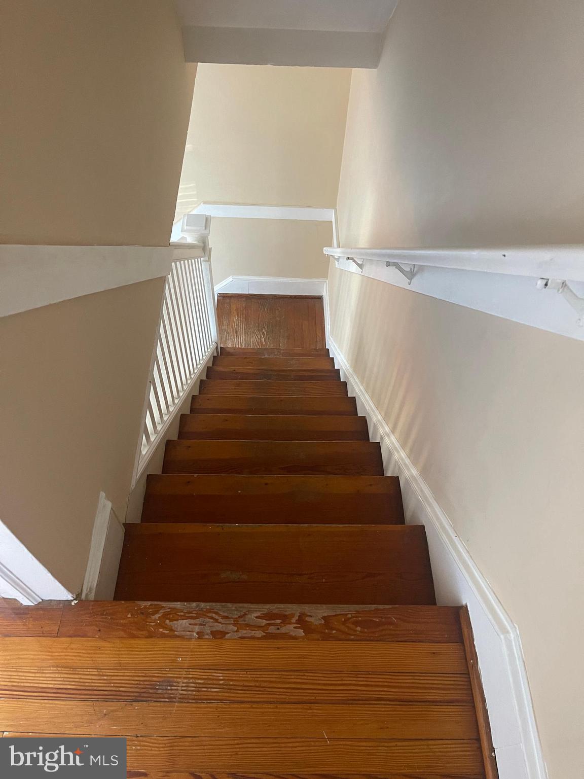 WEBSTERS CHOICE - Residential