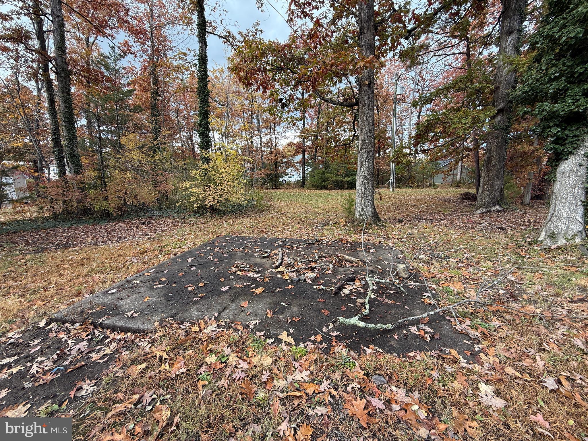 LAKE OF THE WOODS - Residential Lease