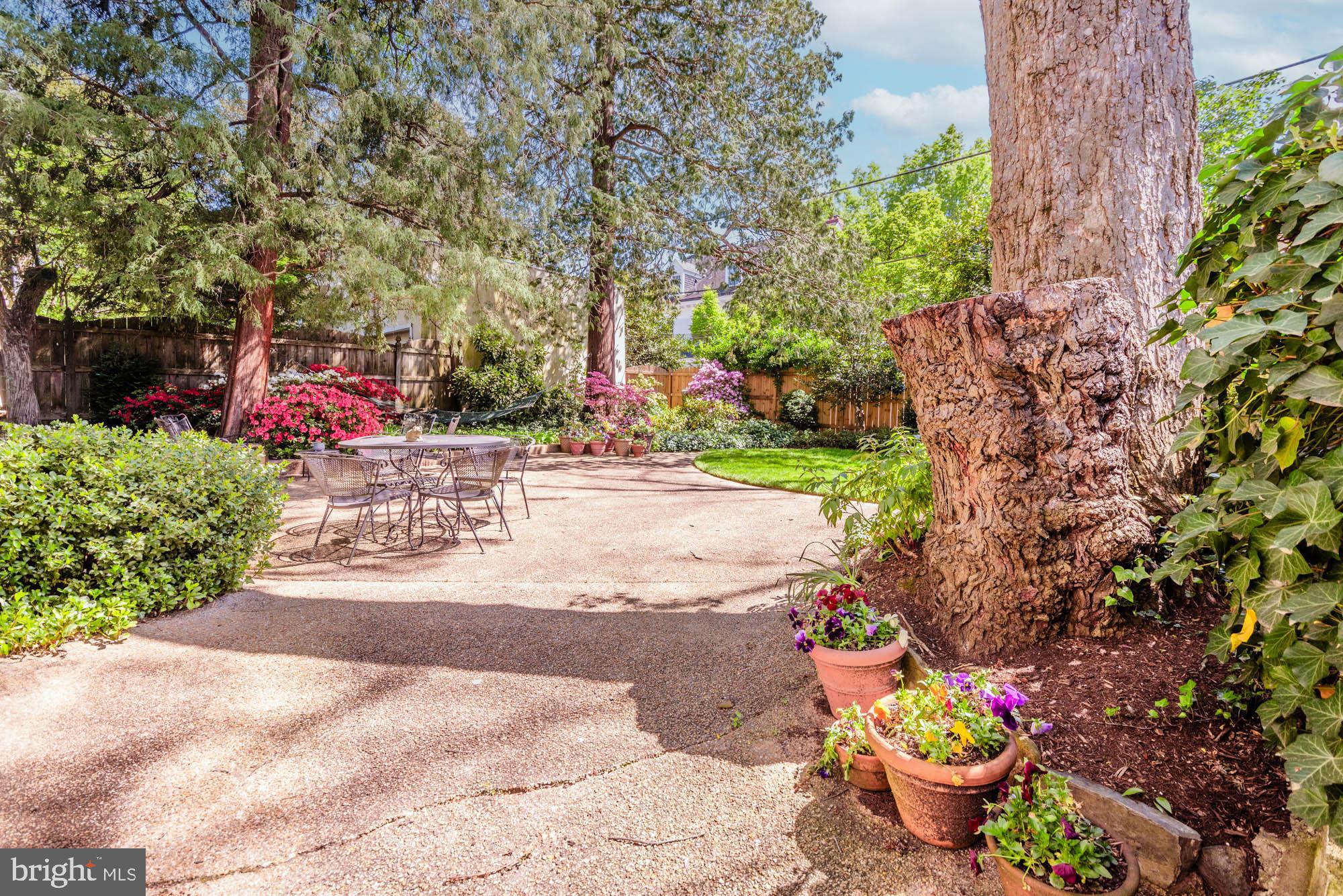 CHEVY CHASE VILLAGE - Residential