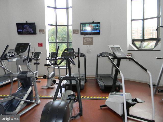 BELVEDERE - Residential Lease