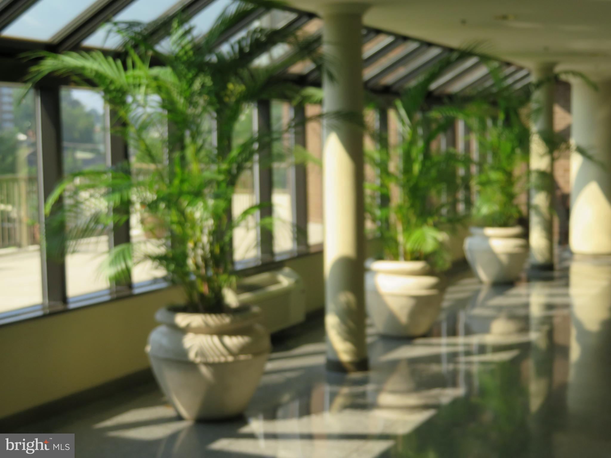 BELVEDERE - Residential Lease