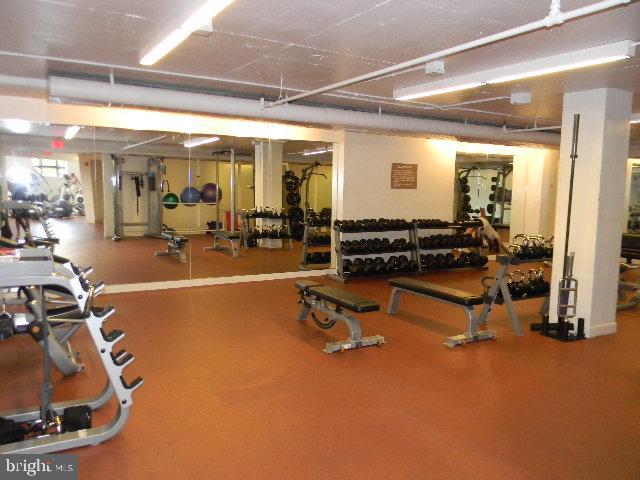 BELVEDERE - Residential Lease