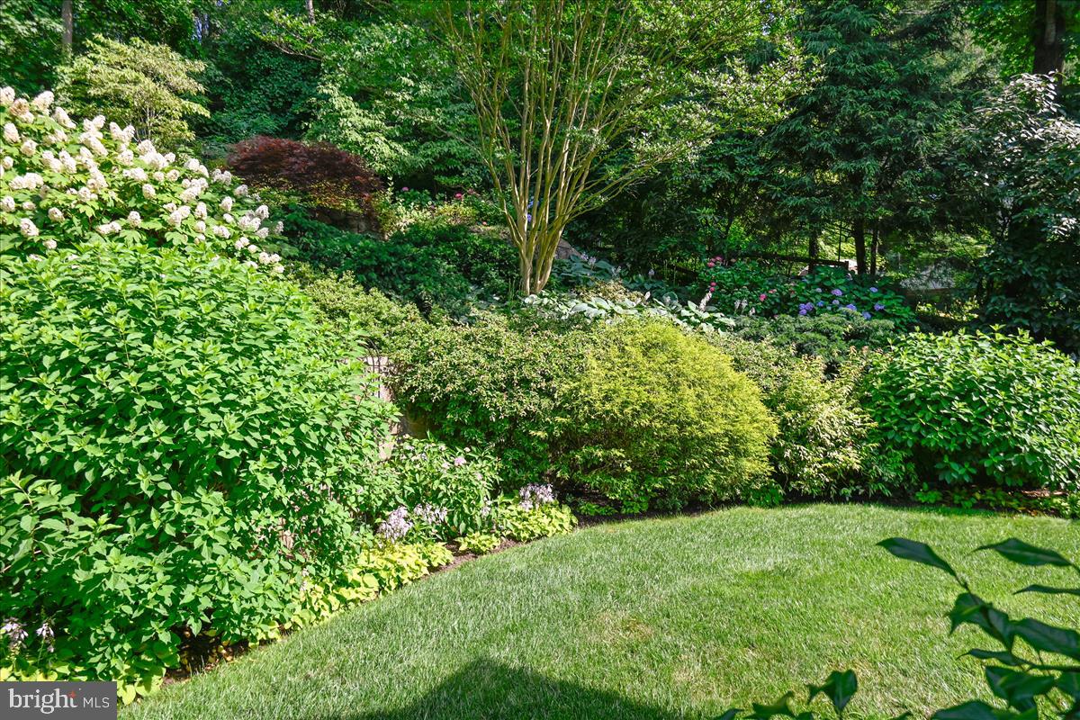 RUXTON - Residential