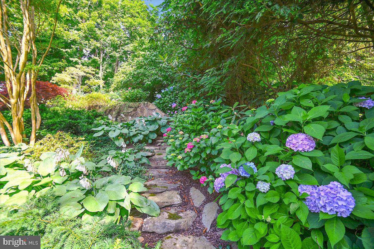 RUXTON - Residential