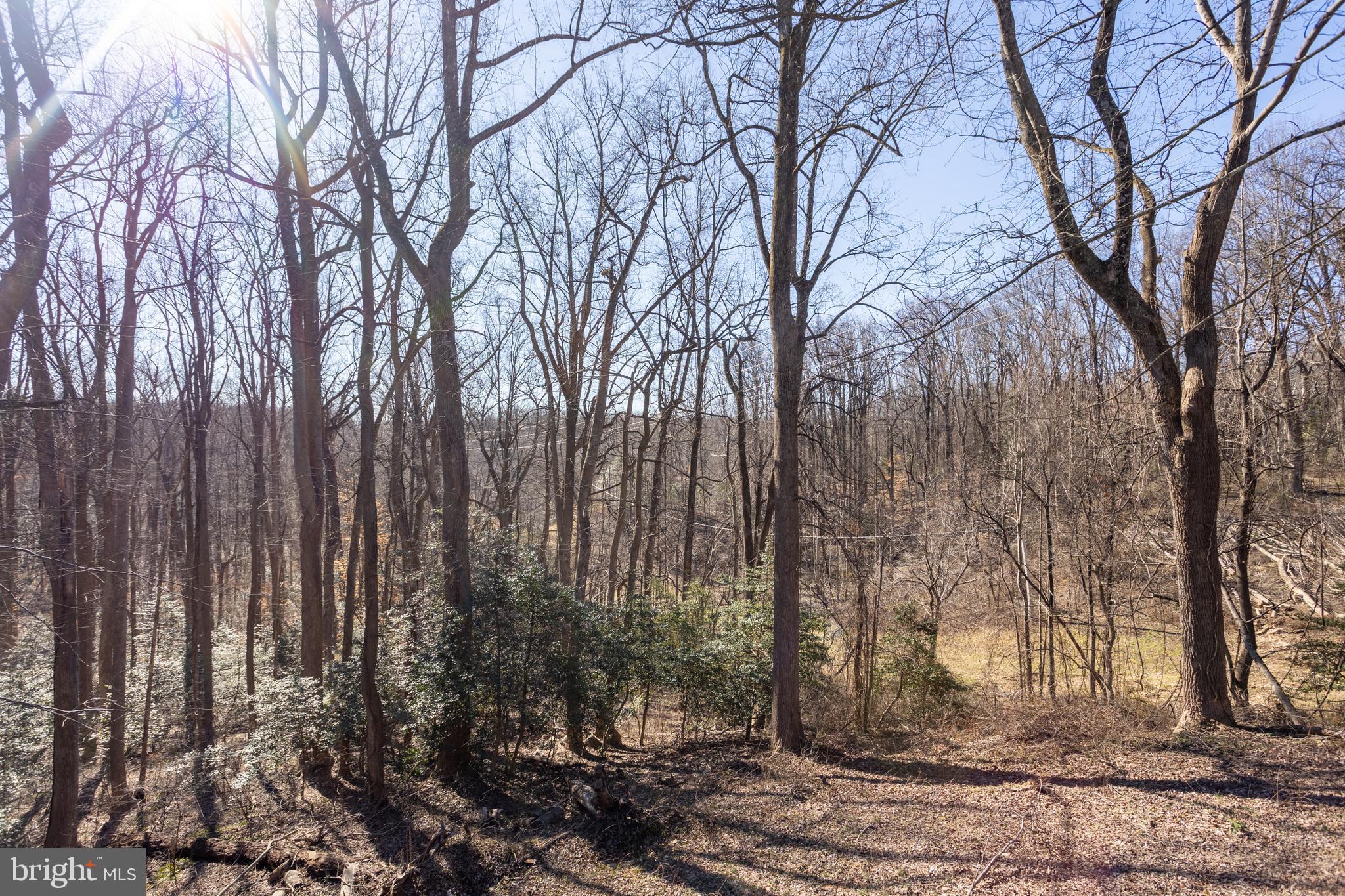 TALL TIMBERS - Residential