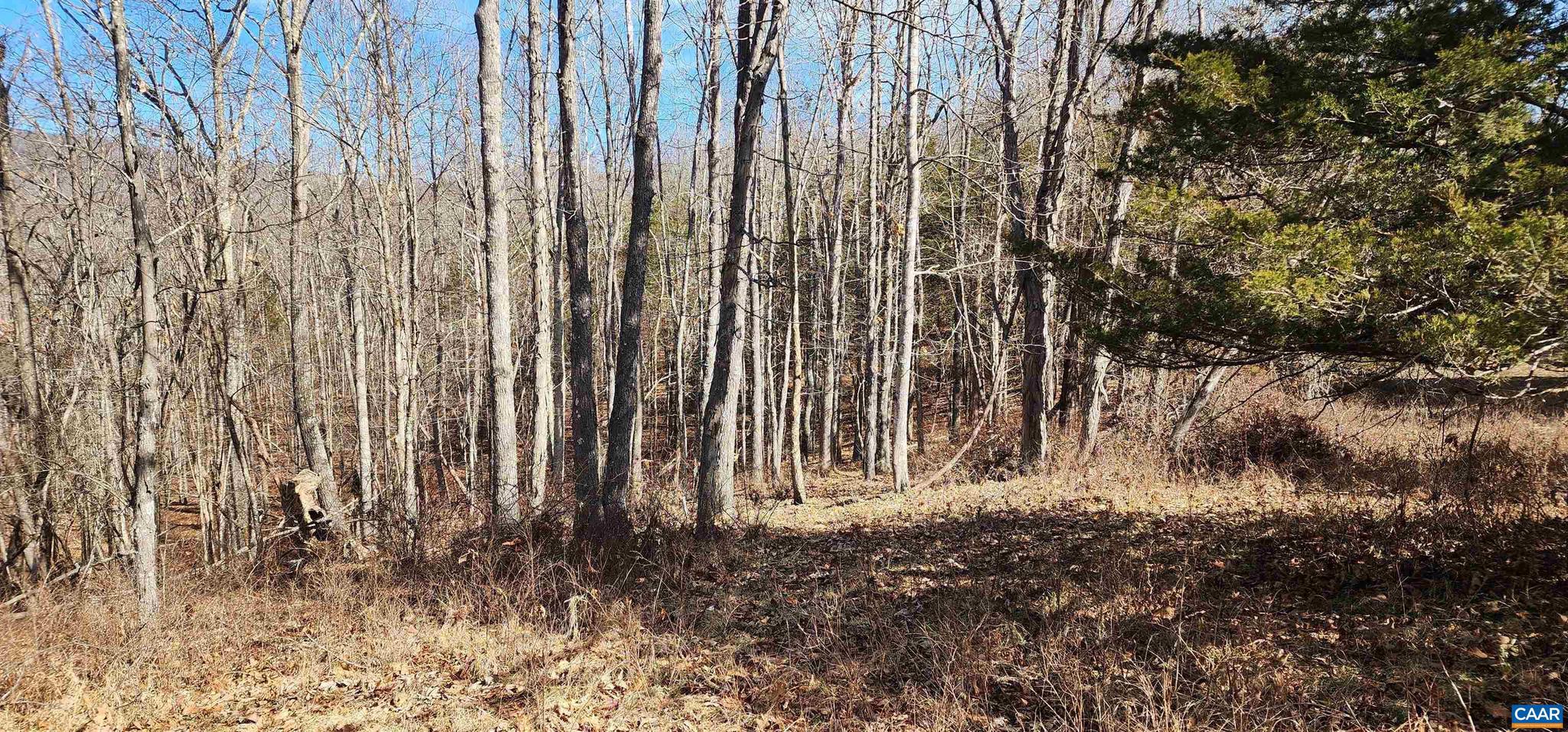 NONE AVAILABLE - Land