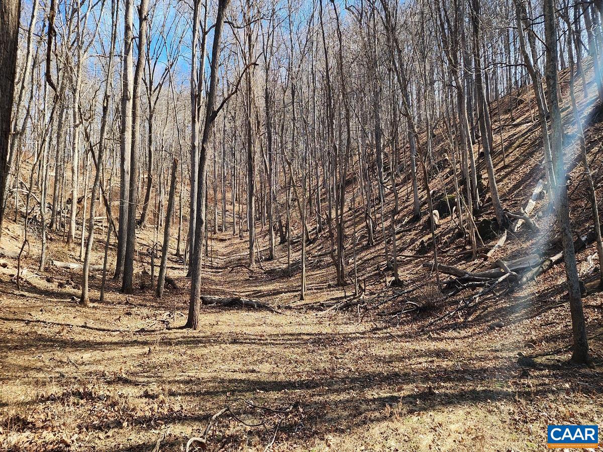 NONE AVAILABLE - Land