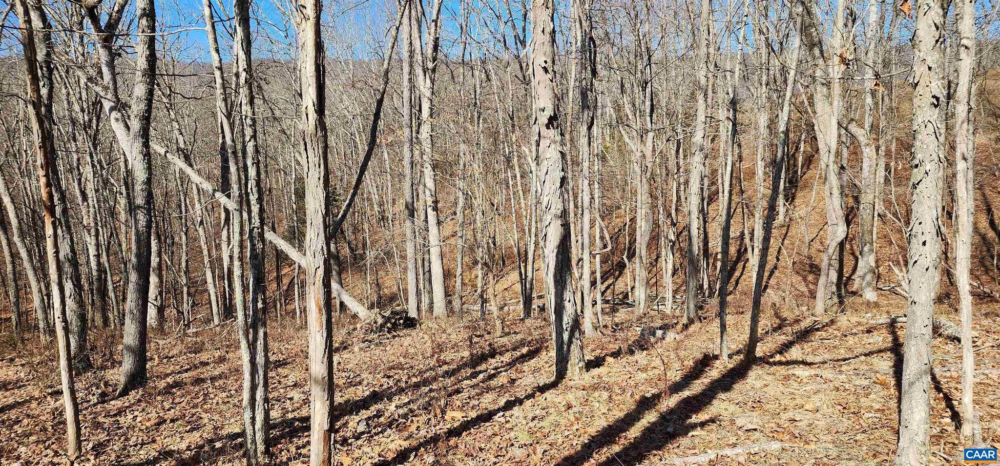 NONE AVAILABLE - Land