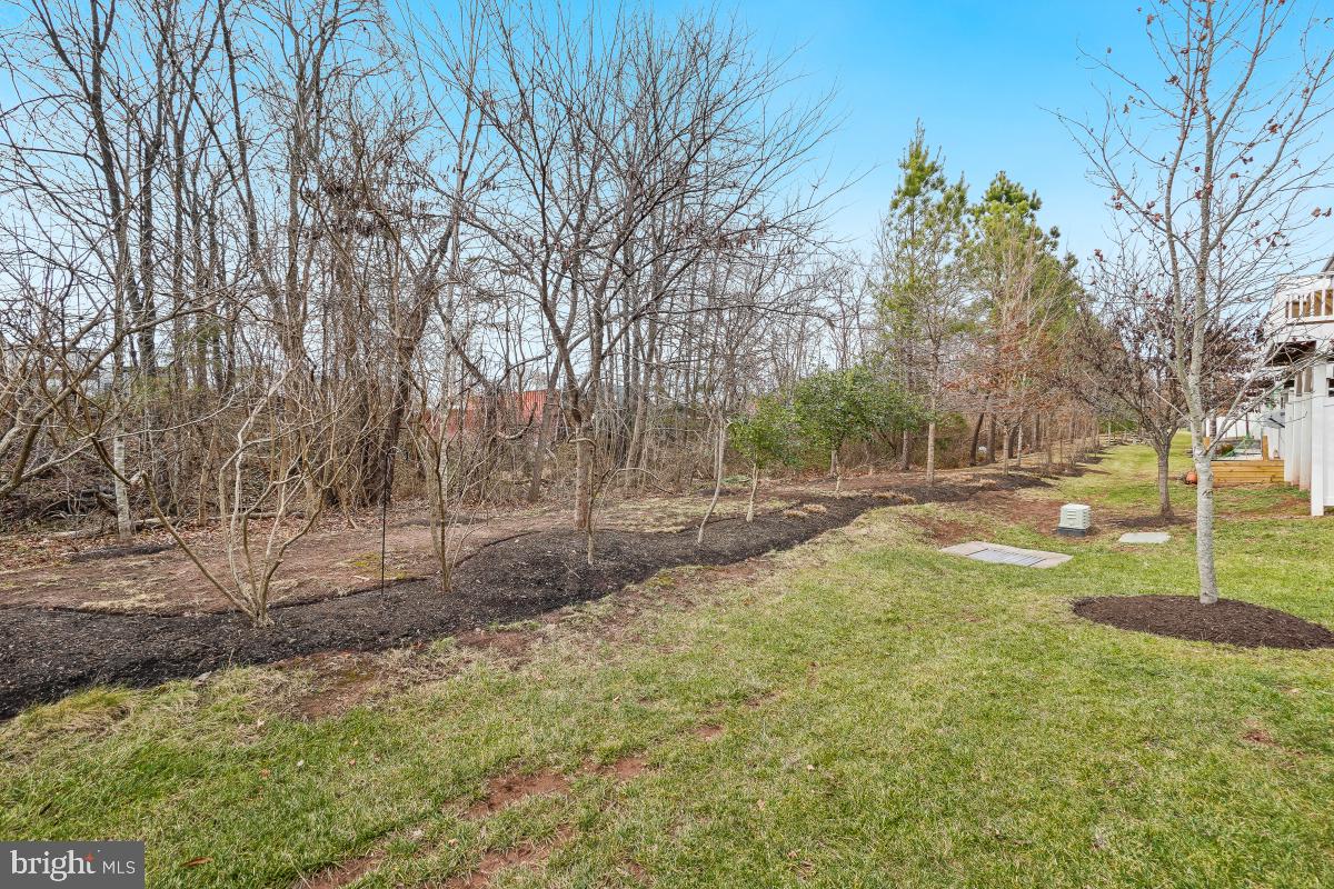 BRADLEY SQUARE - Residential