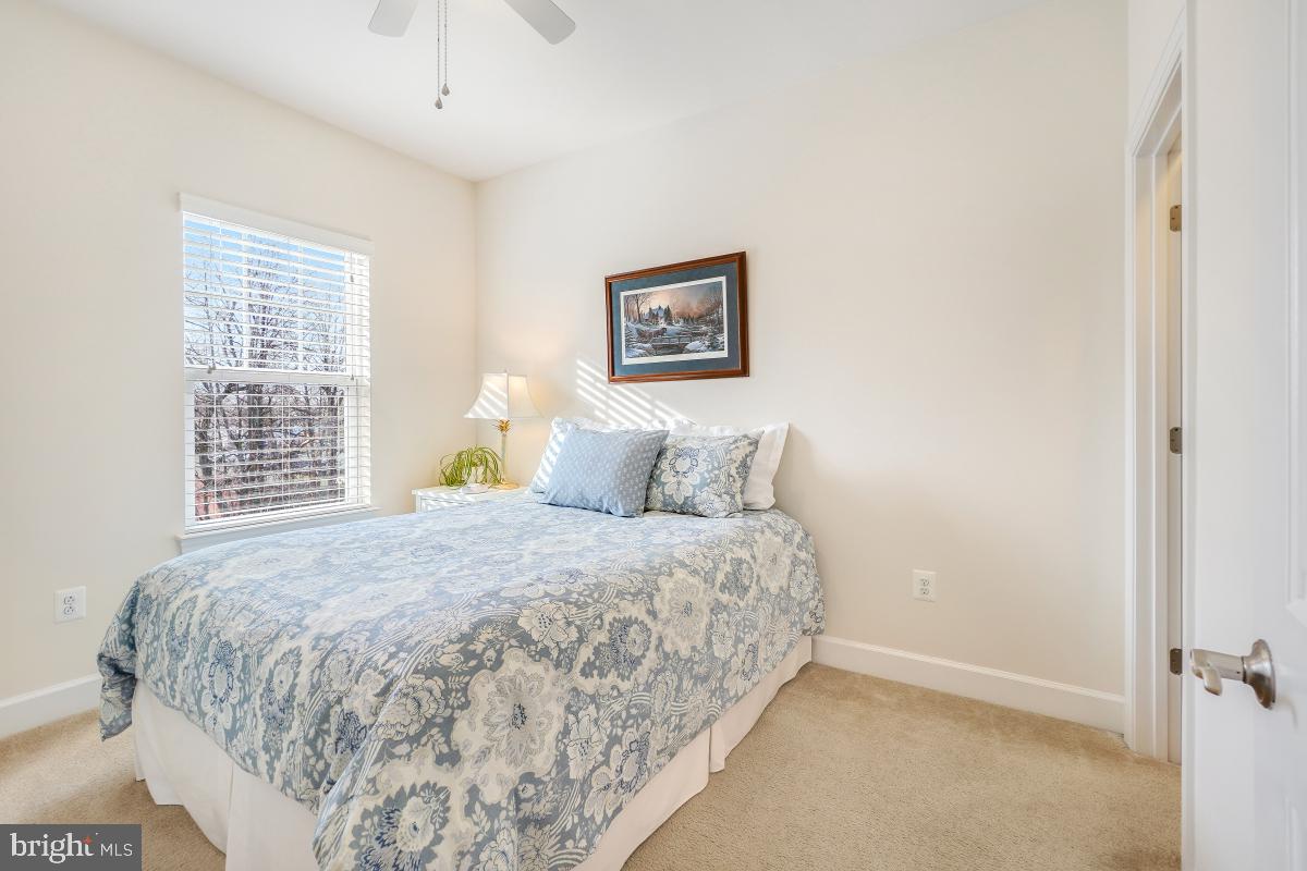 BRADLEY SQUARE - Residential