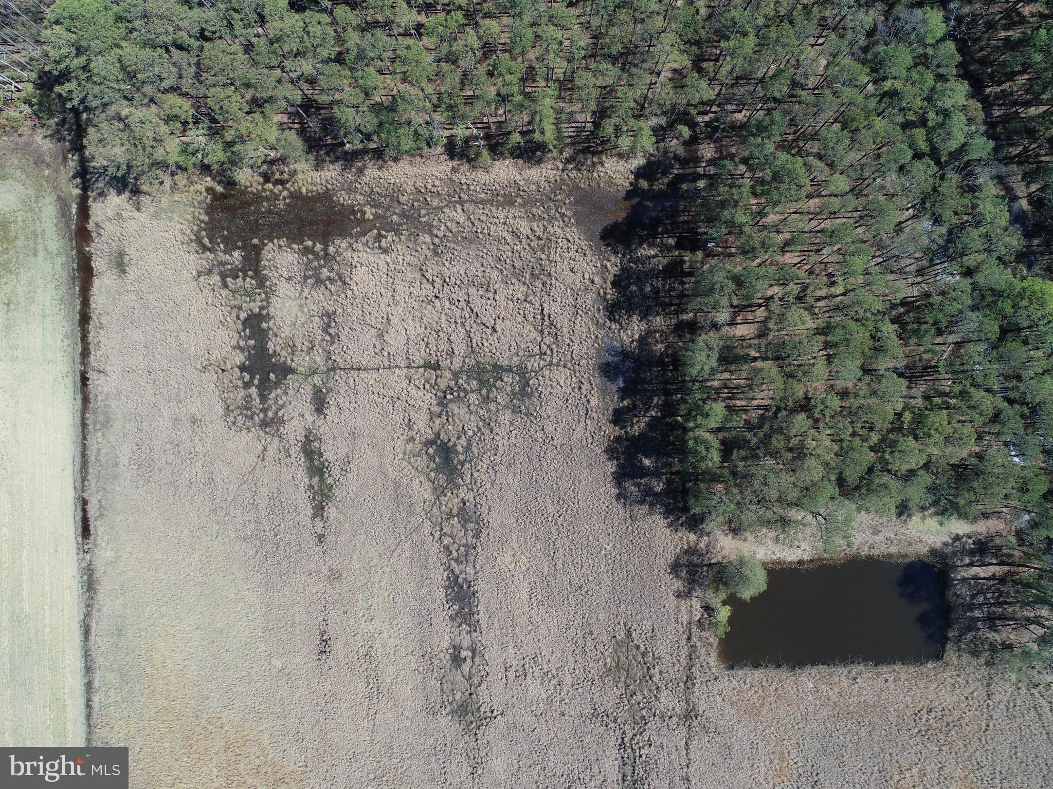 NONE AVAILABLE - Land